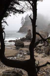 Trinidad beach-5838.jpg